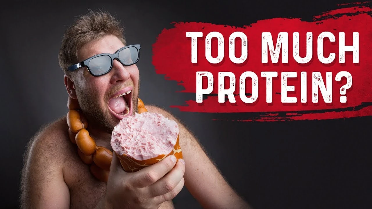 Much Protein Bad for You